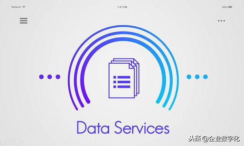 數據服務背后的產品技術技術服務